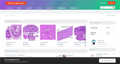 Desktop Screenshot of biyolojigunlugu.com